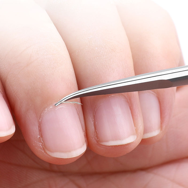 Stainless Steel Curved Tip Cut - Nail Extension Form review and price